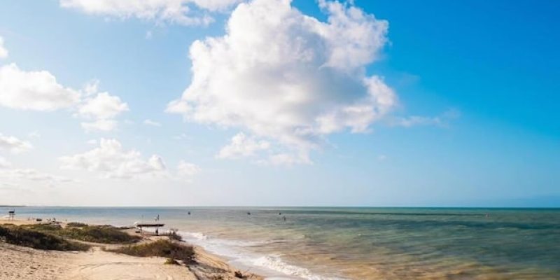 WhatsApp Image 2025-04-29 at 07.05.39 (1)-min