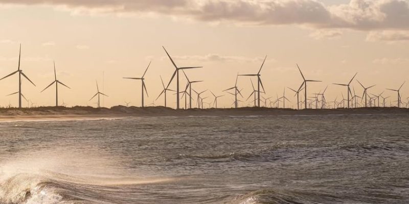 WhatsApp Image 2025-04-29 at 07.05.39 (2)-min